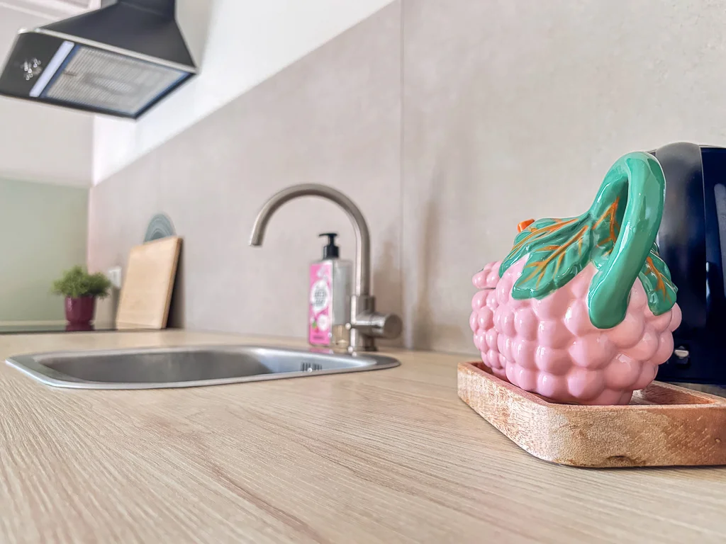 Keuken Vakantie appartement Lentebloesem - Buitenplaats Ureterp